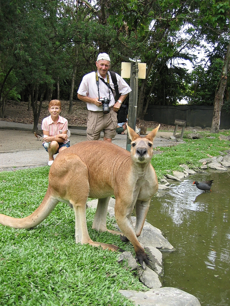 081 Port Douglas Wildlife Habitat.jpg